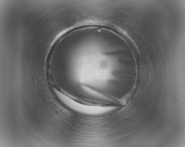 X0000053141222200507251807