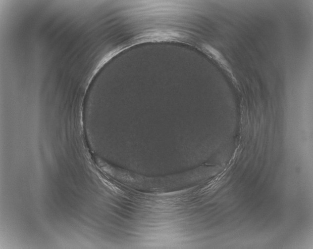 X0000053141226200507251807