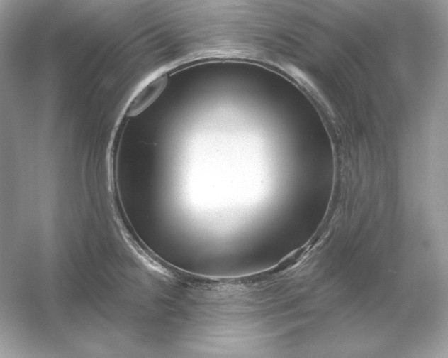 X0000053141238200507251807