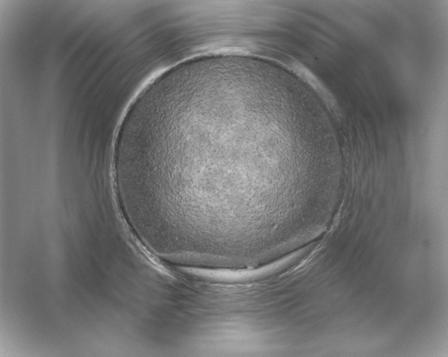 X0000053141240200507251807