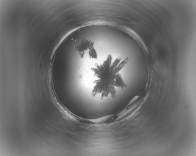X0000053141244200507251807