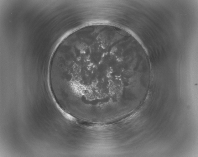 X0000053141245200507251807