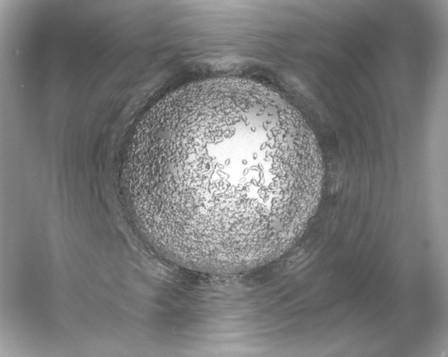 X0000053141249200507251806