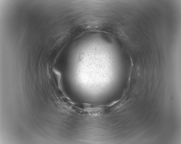X0000053141250200507251806