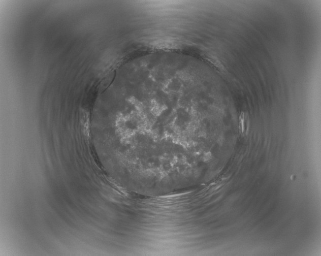 X0000053141251200507251806