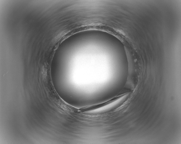 X0000053141257200507251806