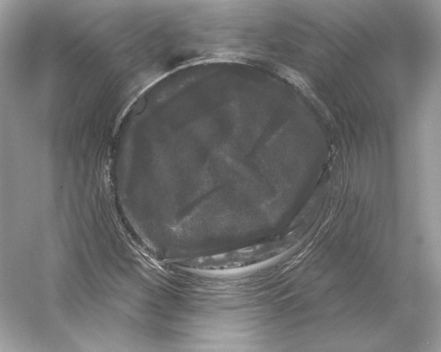 X0000053141260200507251806