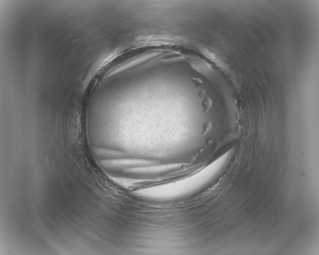 X0000053141261200507251806