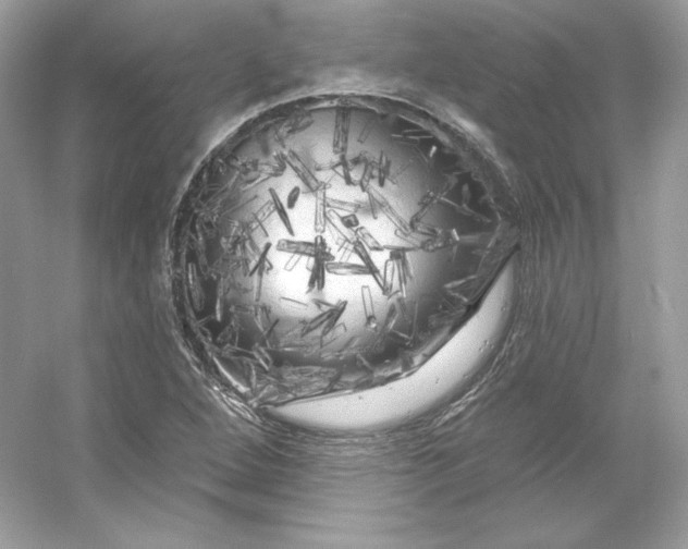 X0000053141264200507251806