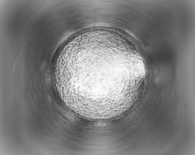 X0000053141266200507251806
