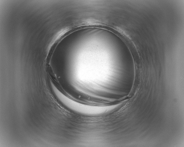 X0000053141269200507251806