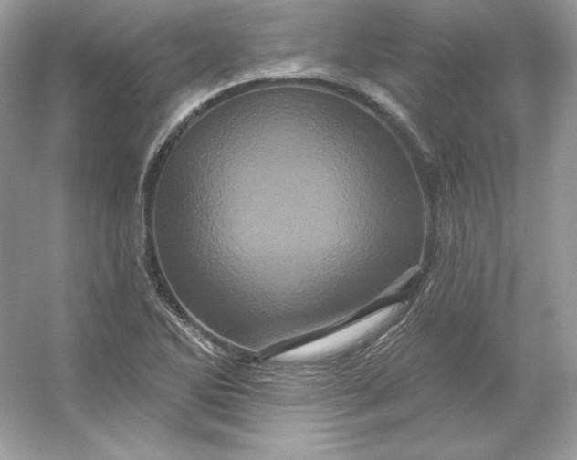 X0000053141270200507251806