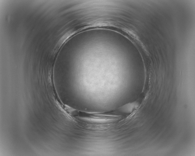 X0000053141273200507251806