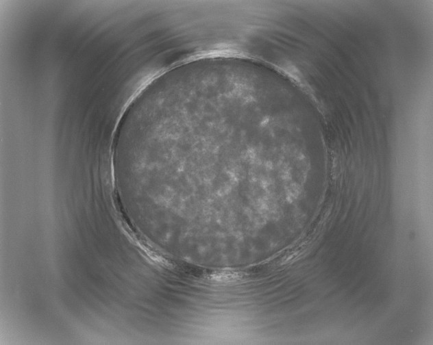 X0000053141274200507251806