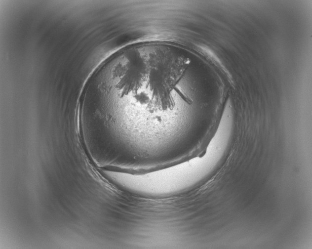 X0000053141276200507251806