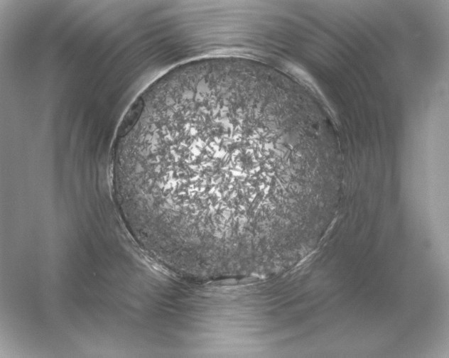 X0000053141284200507251806