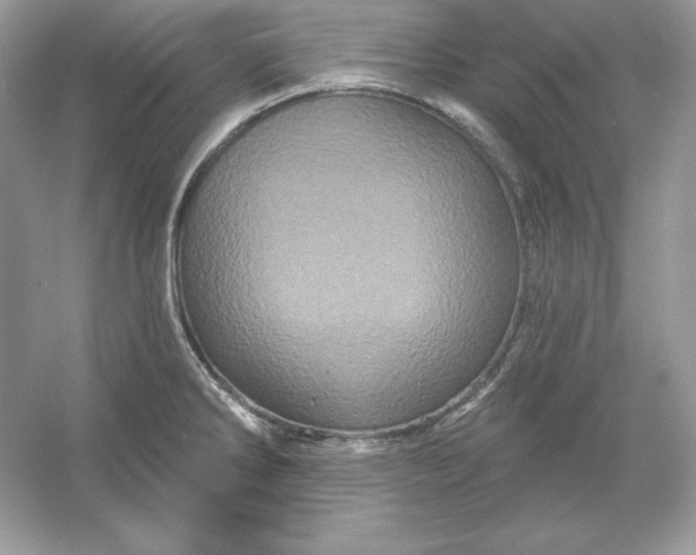 X0000053141286200507251806