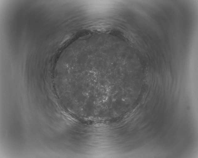 X0000053141297200507251805