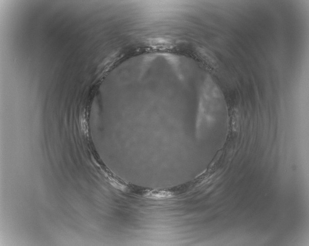 X0000053141298200507251805