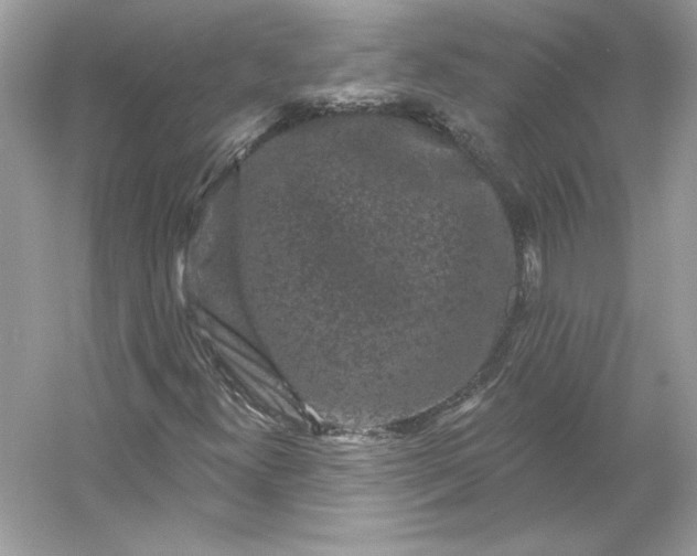 X0000053141300200507251805