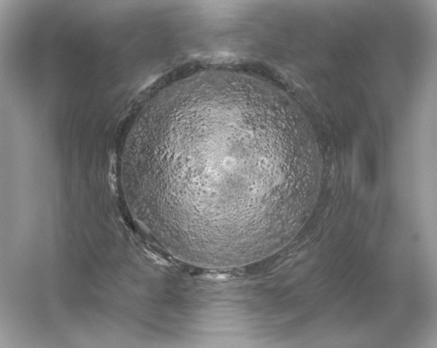 X0000053141301200507251805