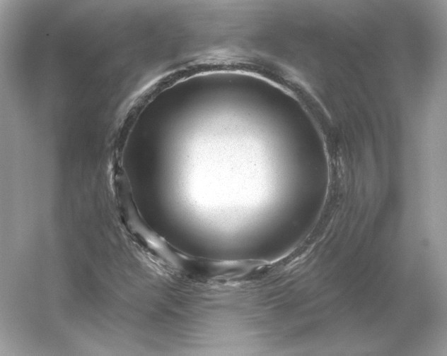 X0000053141304200507251805
