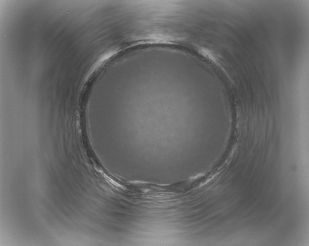 X0000053141307200507251805