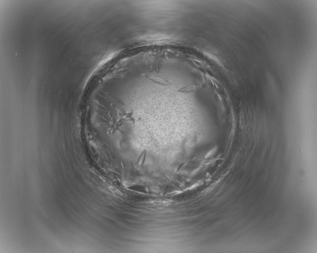 X0000053141309200507251805