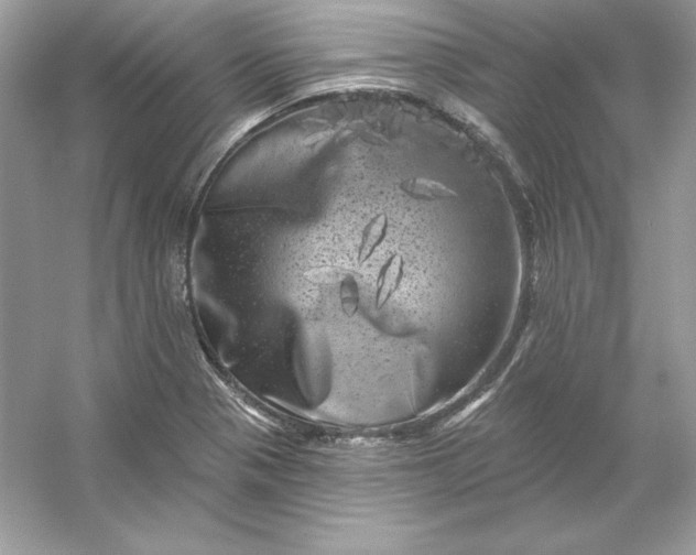 X0000053141321200507251805