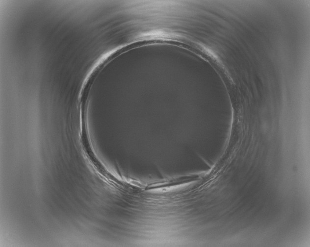 X0000053141323200507251805