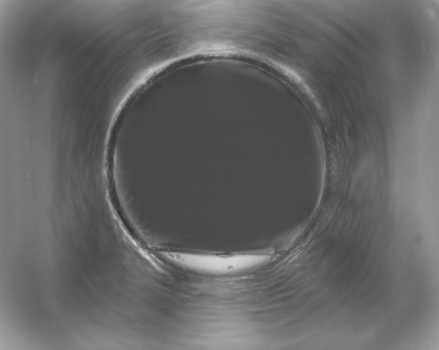 X0000053141327200507251805