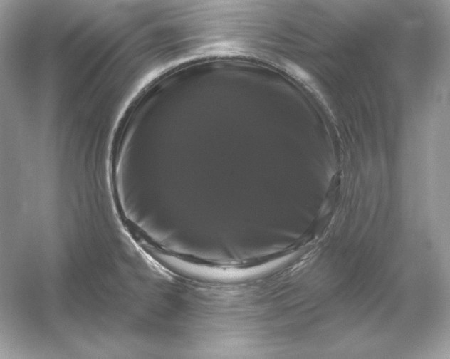 X0000053141334200507251805