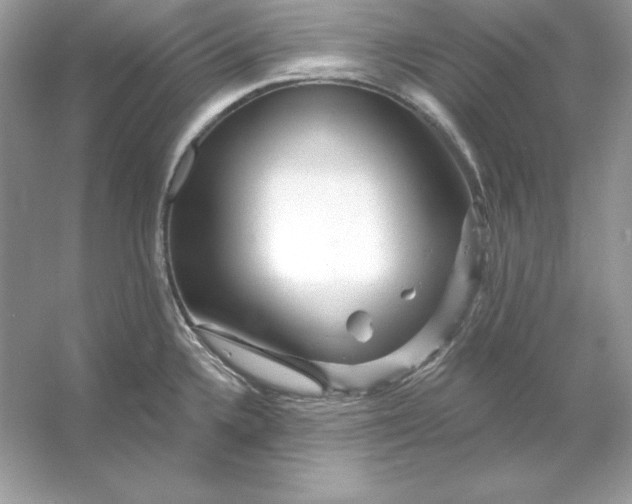 X0000053141336200507251805