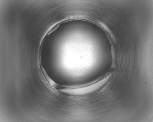 X0000053141340200507251805
