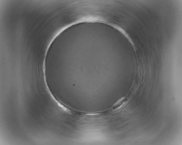 X0000053141343200507251805