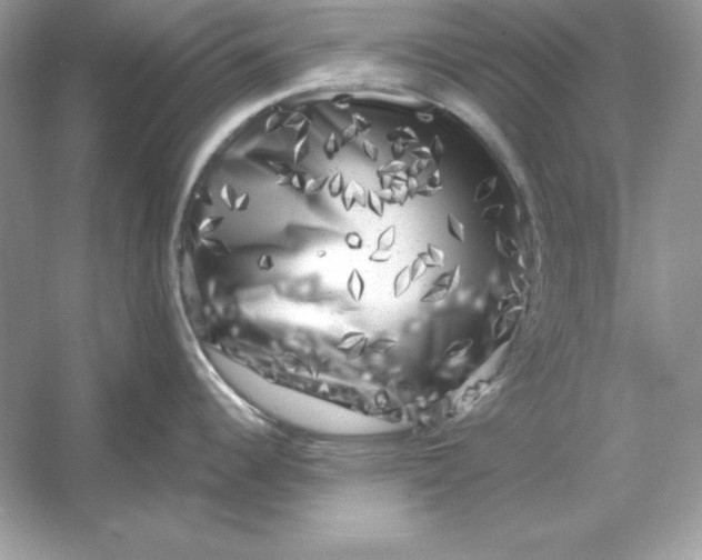 X0000053141344200507251805