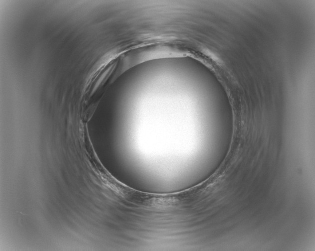 X0000053141354200507251804