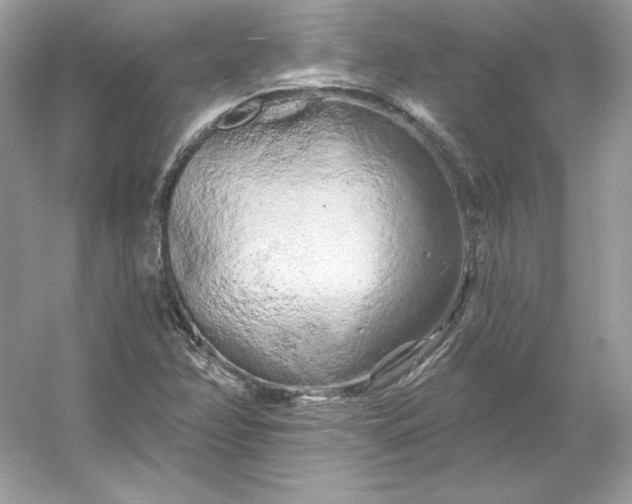 X0000053141358200507251804