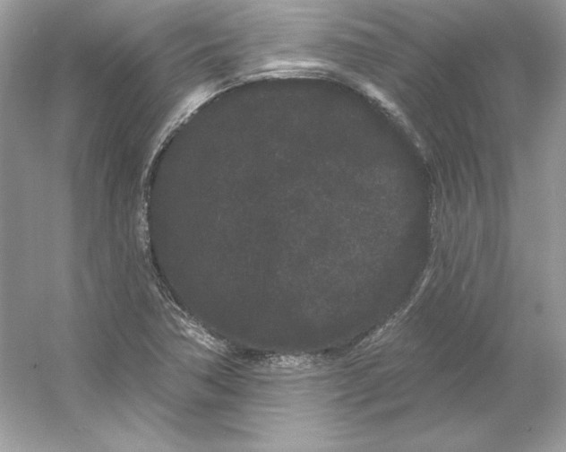 X0000053141362200507251804
