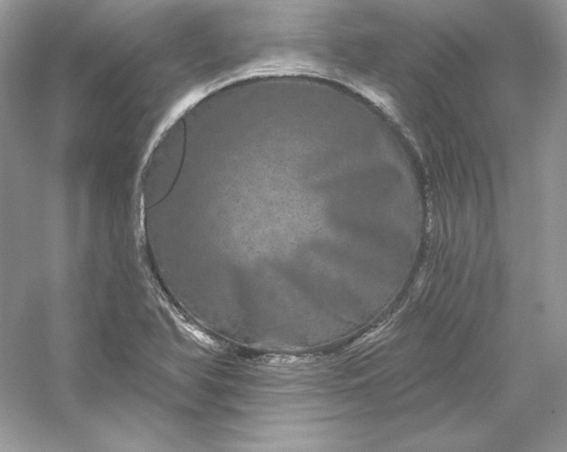 X0000053141366200507251804