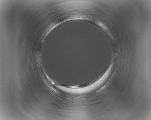 X0000053141369200507251804