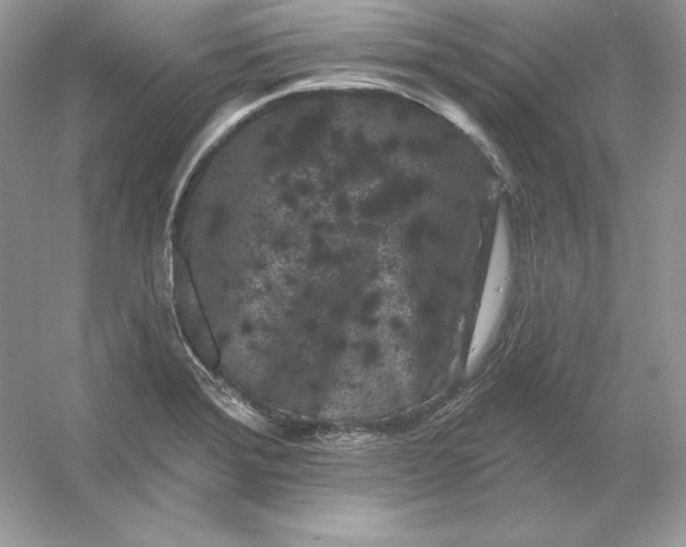X0000053141372200507251804