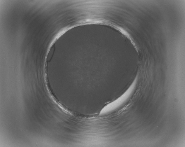 X0000053141373200507251804