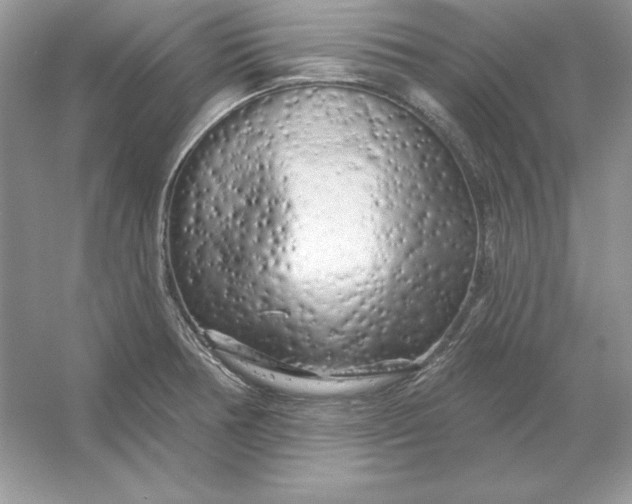X0000053141378200507251804