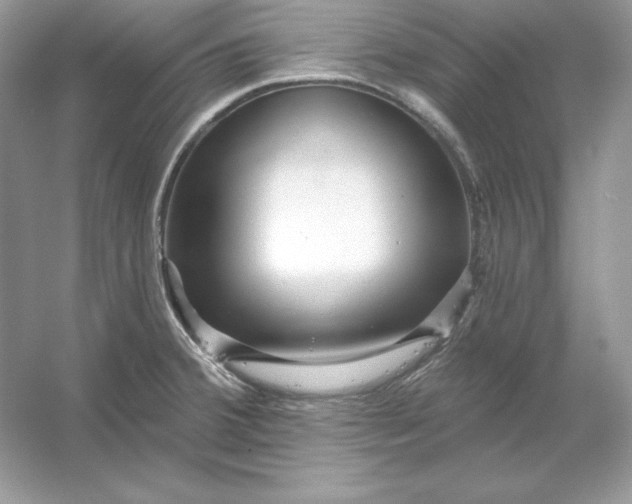 X0000053141380200507251804