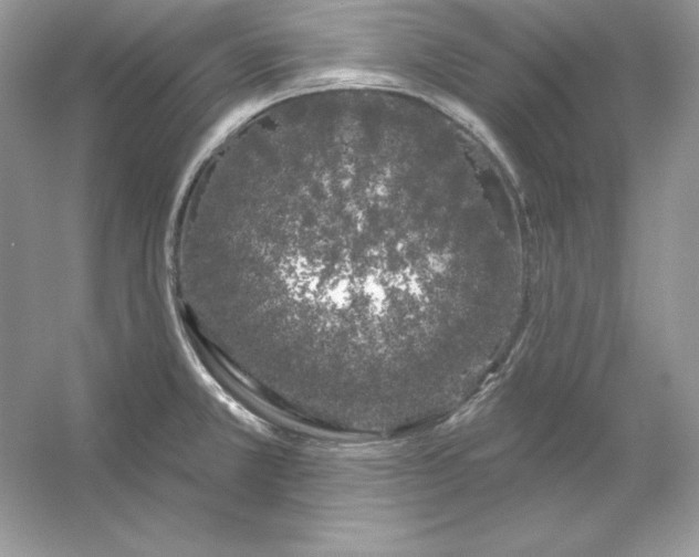 X0000053141381200507251804