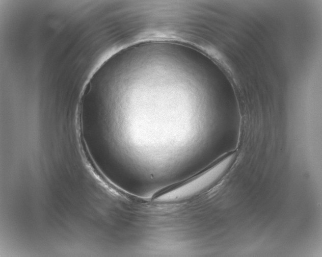 X0000053141382200507251804