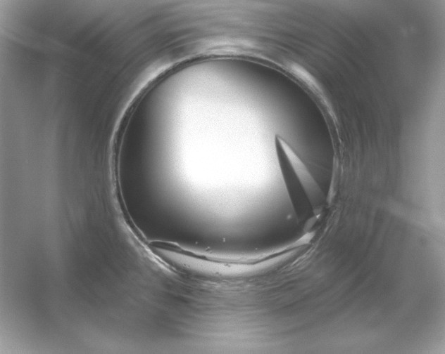 X0000053141384200507251804