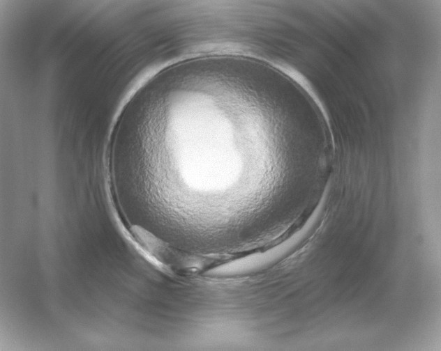 X0000053141389200507251804