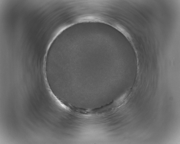 X0000053141392200507251804